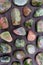 Unakite rare stones texture on brown varnished wood background