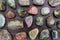 Unakite rare stones texture on brown varnished wood background