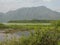 Unare lagoon coastal wetland in Venezuela