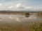 Unare lagoon coastal wetland in Venezuela