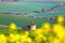 At the unbelievable fields there. Ancient mill. South Moravian Region Czech Republic. Nice spring landscape. Rural scenery