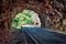 Unbelievable view of tunel to Piva river pass. Sunny summer day in Montenegro, Europe. Beautiful world of Mediterranean countries