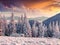 Unbelievable winter sunrise in Carpathian mountains with snow covered fir trees and grass. Dramatic outdoor scene, Happy New Year