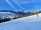 Unbelievably beautiful winter atmosphere on the pastures and hills of the Swiss Alps in the Obertoggenburg region, Unterwasser