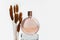 Unbranded perfume bottle on glass podium and brown herbs Lagurus. Transparent glass perfume bottle for branding and label. Eau de