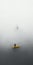 Uncanny Minimalist Philosophy: Lost In The Sea Of Fog