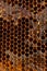 Uncapped filled honeycomb as background, closeup view