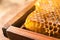 Uncapped honeycomb frame on blurred background, closeup