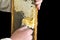 Uncapping honey cells with a fork. Professional beekeeper holds wooden frame with bee honeycomb in his hands, collects