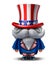 Uncle Sam Character