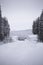 Uncleared snowy road in Vaesterbotten, Sweden with heaps of wood