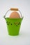 Uncolored egg in green basket
