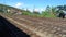 Uncommon View in Sri Lankan Railway Roads