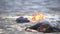Unconscious woman lying on seashore after shipwreck, survival tips, accident