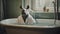 Unconventional Portraiture: Kangaroo In A Small Bathtub