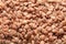 Uncooked buckwheat groat close-up, healthy diet concept, food background