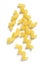 Uncooked Cavatappi or Corkscrew Pasta on White Background