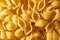 Uncooked Conchiglie Pasta Background