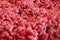 Uncooked Ground Beef background