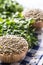 Uncooked lentils in wooden bowles with parsley herbs on kitchen