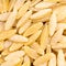 Uncooked orzo risoni pasta close up