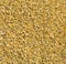Uncooked, raw freekeh or firik, roasted wheat grain, texture background top view flat lay