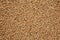 Uncooked Roasted Buckwheat background