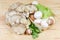 Uncooked various cultivated mushrooms and greens on wooden rustic table