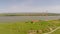 Uncovered ruins of a roman castrum along the Danube, aerial view