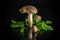 Uncultivated organic forest mushrooms on black background