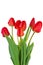Uncultivated red tulips
