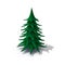 Undecorated christmas tree