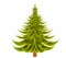 Undecorated Christmas Tree