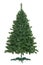 Undecorated Christmas tree