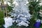 Undecorated Christmas tree green with present boxes snow white branch