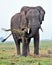 Under African Skies - having breakfast  on the Chobe river bank