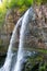 Under big jungle waterfall Giant. tropical landscape of Abkhazia. Vertical