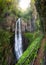 Under big jungle waterfall Giant. tropical landscape of Abkhazia. Vertical