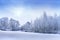 Under a blue sky with light clouds there are trees with thick white frost on their branches. On the left there are white fluffy