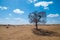 Under the blue sky and white cloud Inner Mongolia Hunshandake Sandy Land