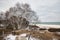 Under a cloudy Winter sky, a wooden boardwalk passes through a snowy landscape.