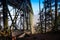 Under Deception Pass Bridge, Whidbey Island