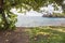 Under a Hibiscus Tree in Tahiti
