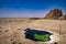 Under the Lake, Lake Assale, Ethiopia