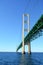 Under the Mackinac Bridge