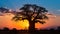 Under the radiant hues of twilight, the silhouette of a baobab tree paints a serene picture of the African savanna