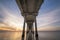 Under Scripps Pier in La Jolla