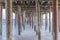 Under the Seacliff State Beach Fishing Pier.