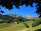 Under shady canopy in Alpine scenery at summer