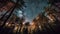 Under the Stars: A Peaceful Night in the Beech Forest Generative AI